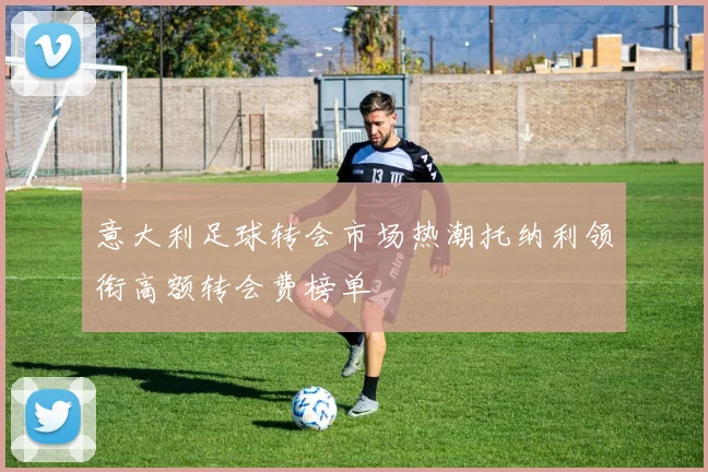意大利足球转会市场热潮托纳利领衔高额转会费榜单